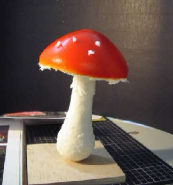 Fliegenpilz